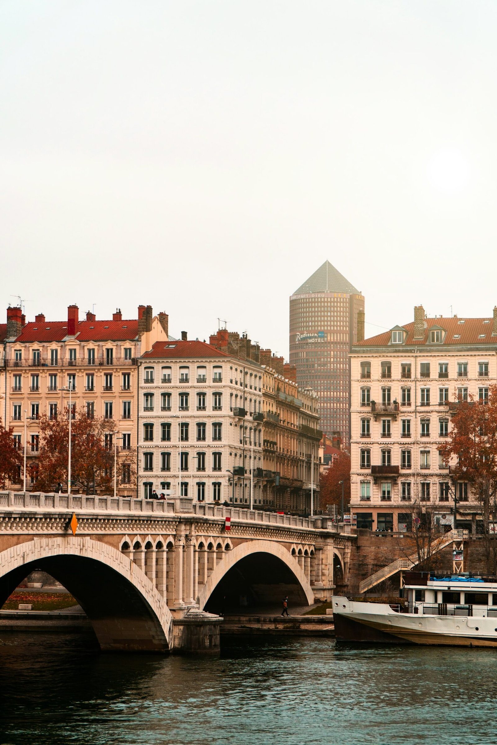 Immeubles lyonnais et tour de la Part-Dieu